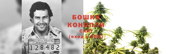 дживик Баксан