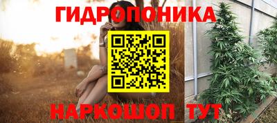 гашик Волгодонск