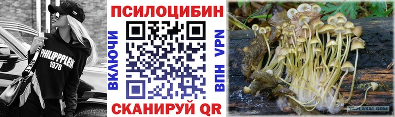 мориарти какой сайт  Горячий Ключ  Галлюциногенные грибы ЛСД 