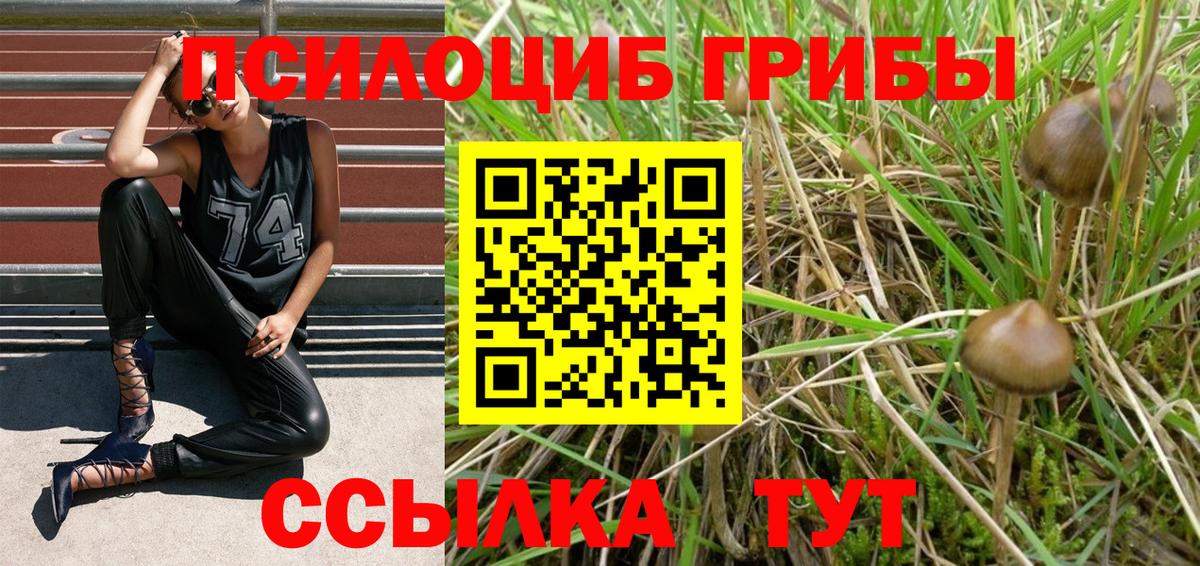 Горячий Ключ  Галлюциногенные грибы Psilocybe  Галлюциногенные грибы мицелий  Вход с VPN 