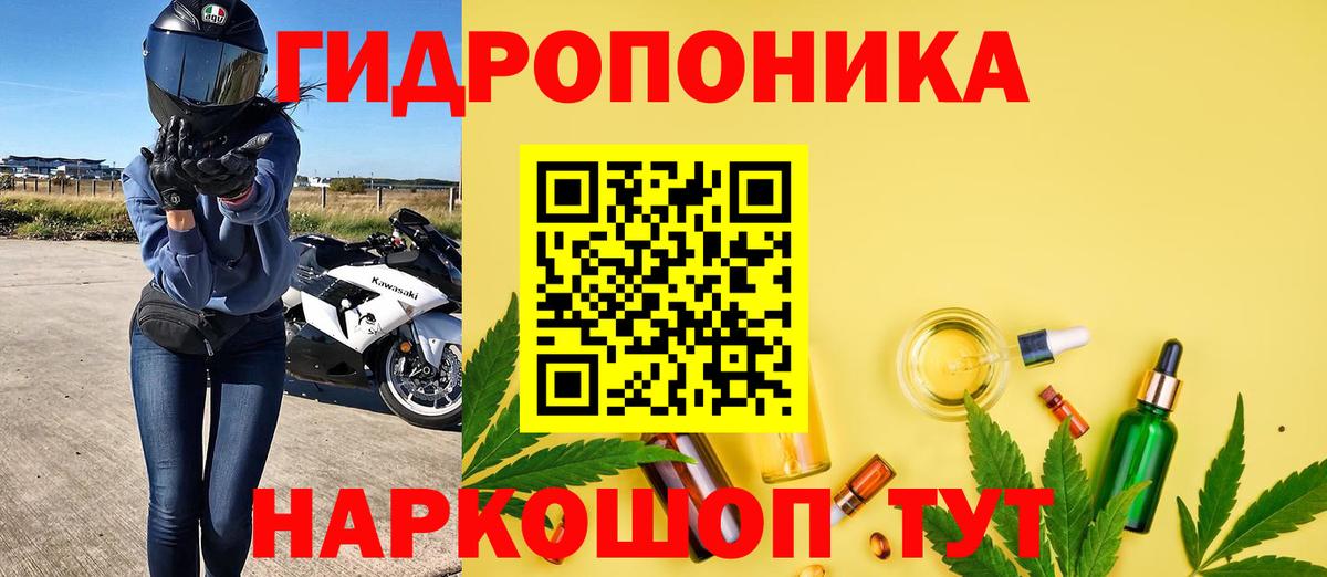 Каннабис сатива  Вход с VPN  Горячий Ключ  Канабис White Widow  Каннабис конопля 